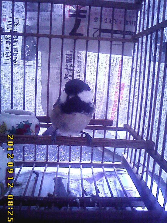 IMG0204.jpg
