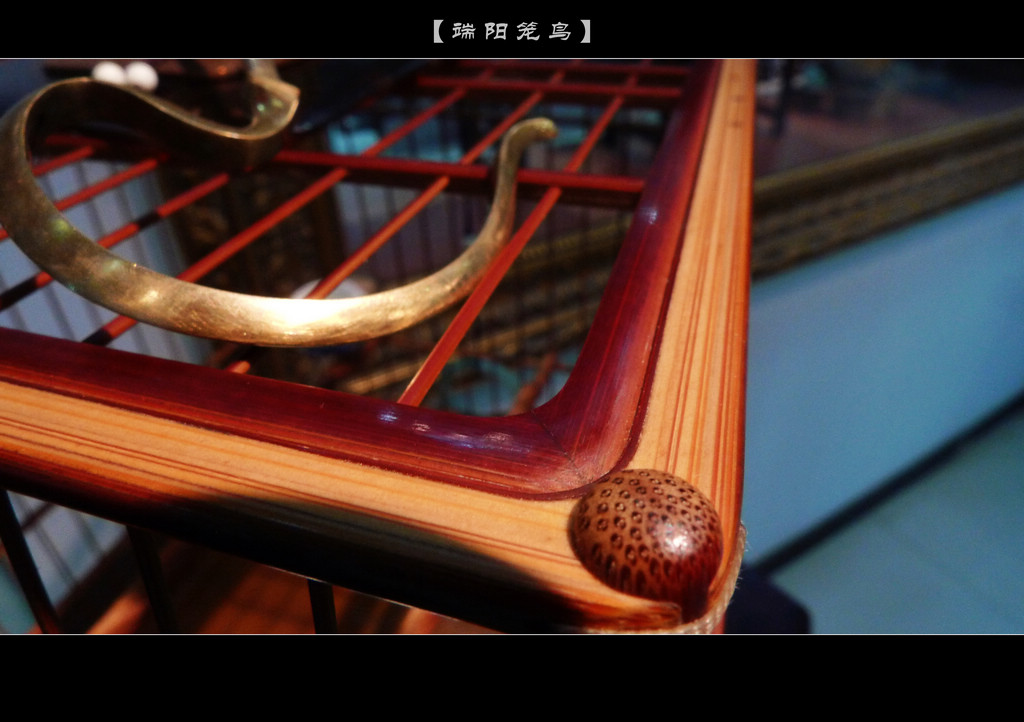 nEO_IMG_L1100250.jpg