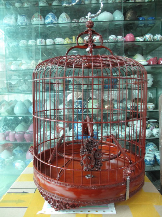 照片 450_调整大小.jpg