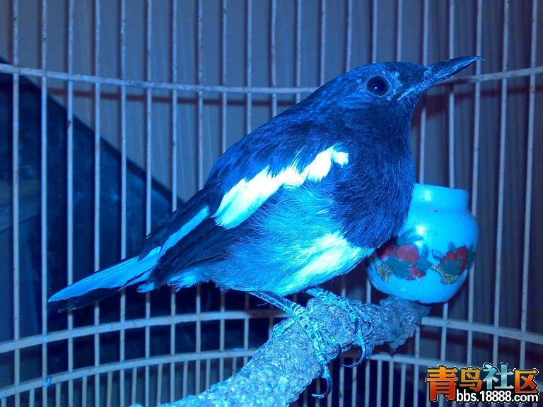20120918136.jpg