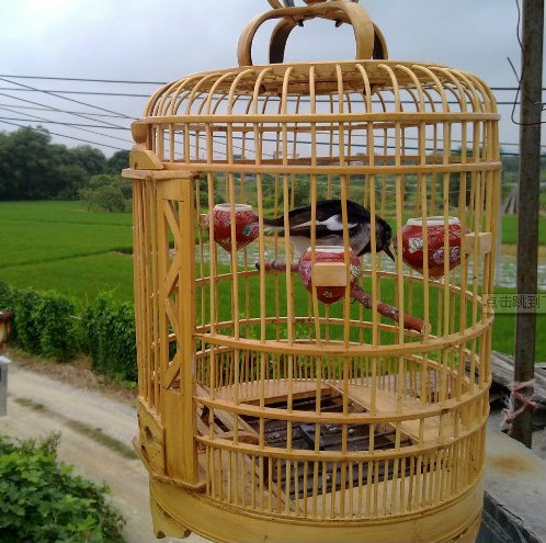 QQ截图20120924090358.jpg