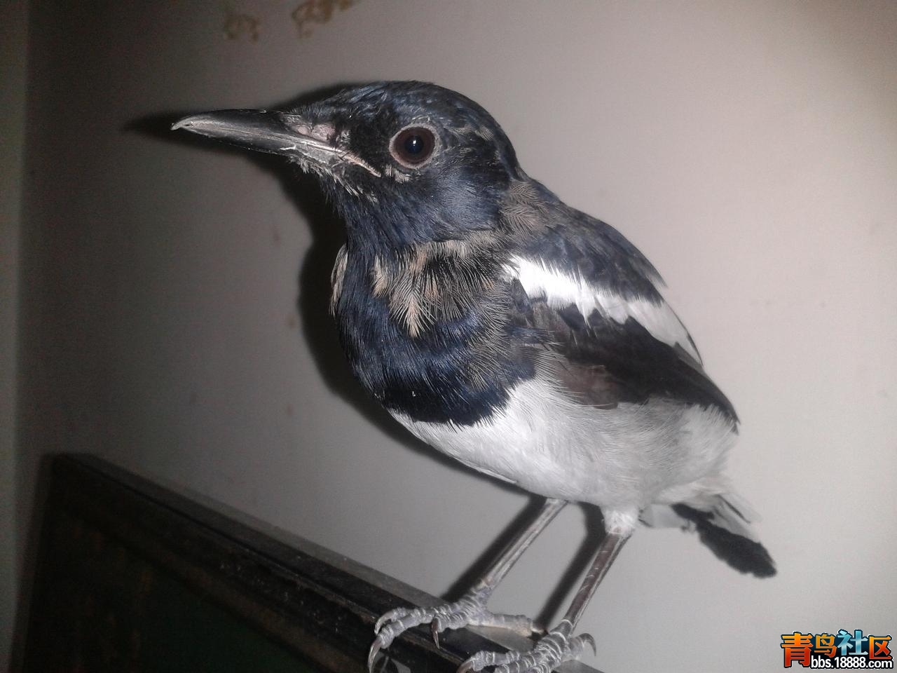 2012-09-08 21.3618.JPG