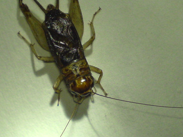 200751917294448074.jpg