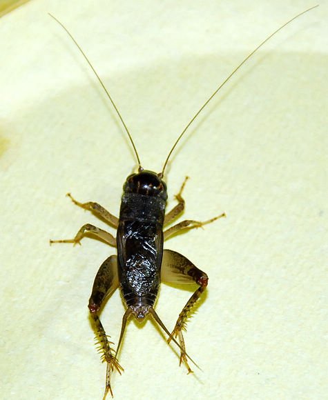 DSC_0304.JPG