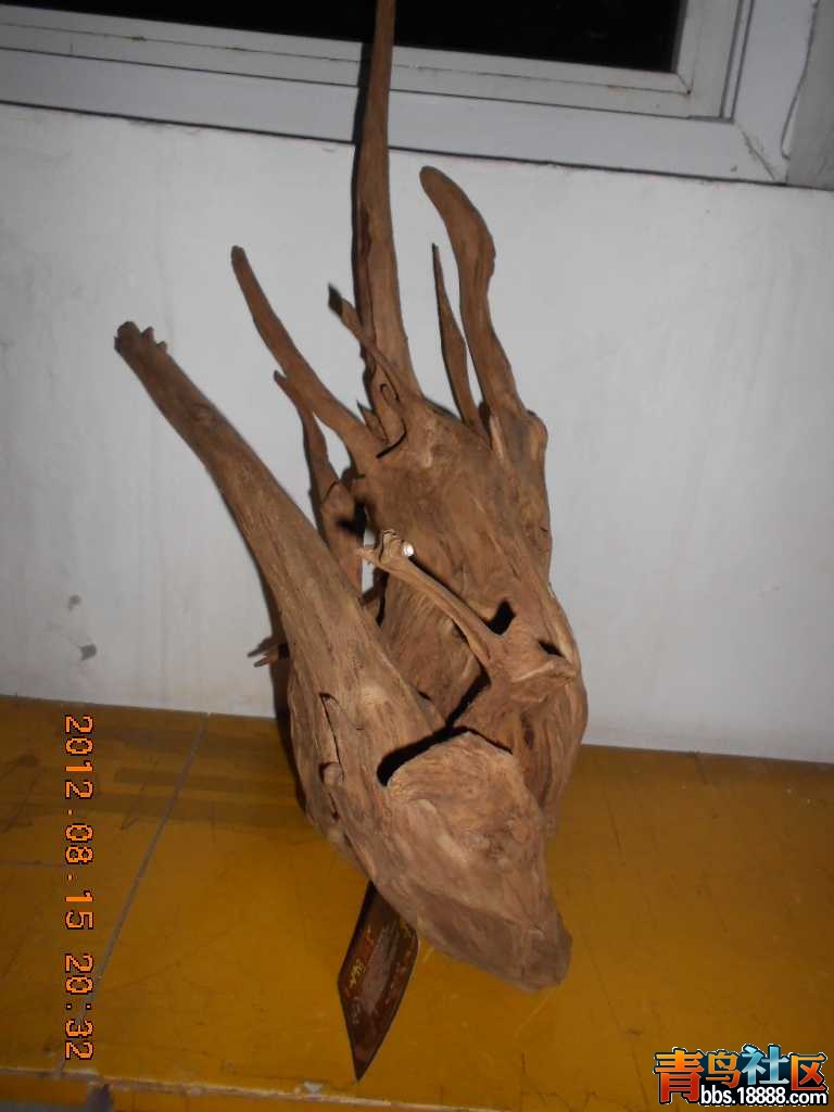 DSCN0246.jpg