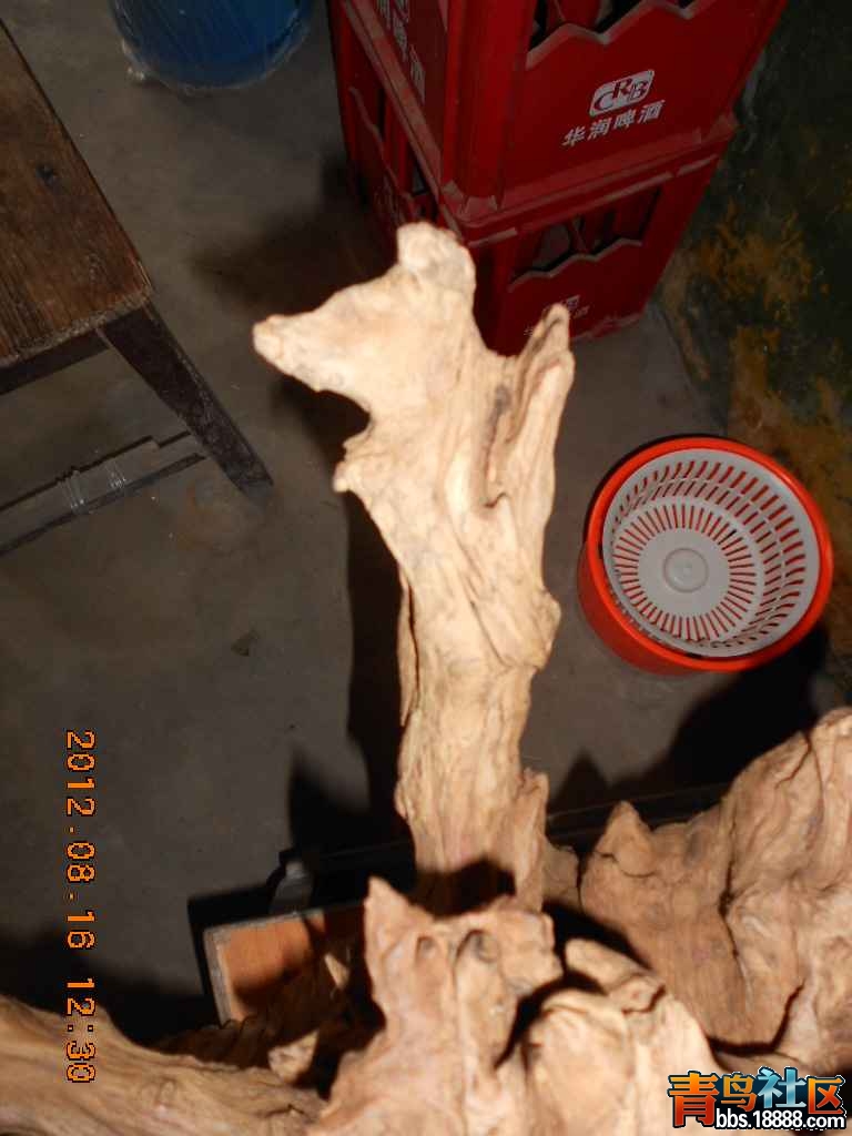 DSCN0269.jpg
