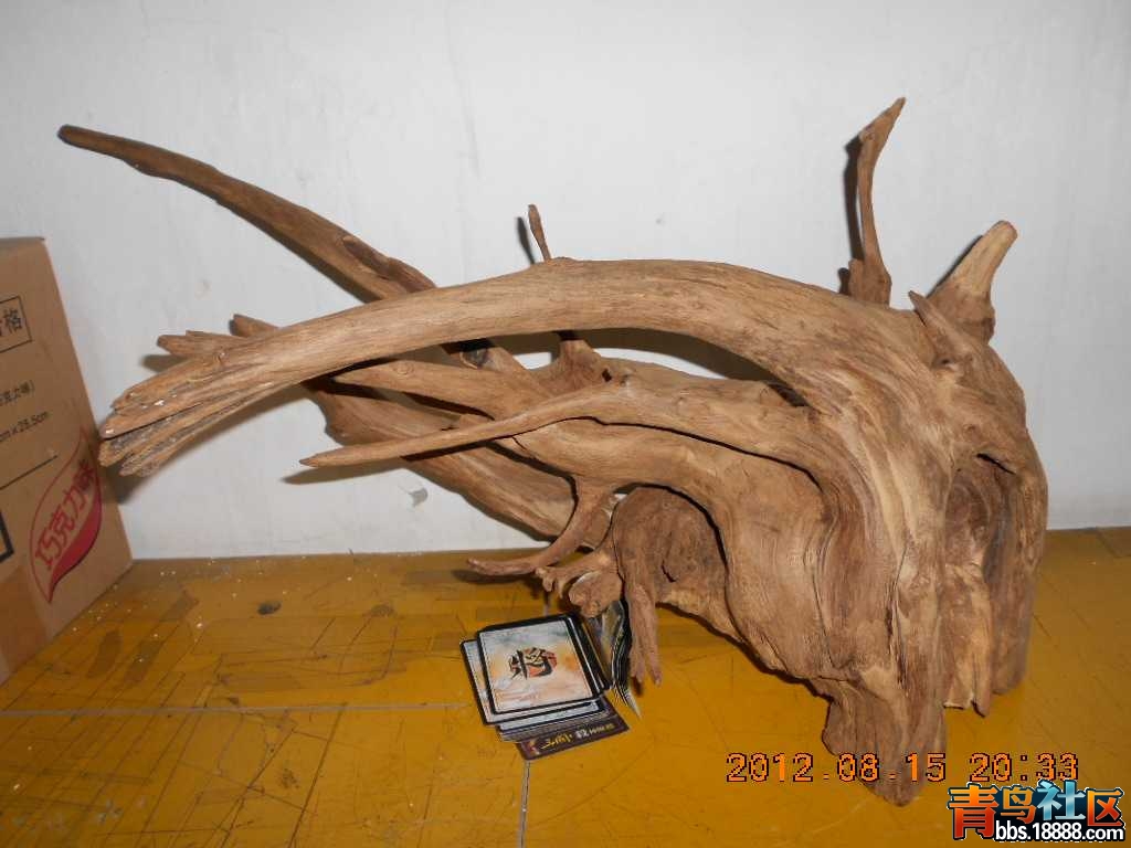 DSCN0247.jpg