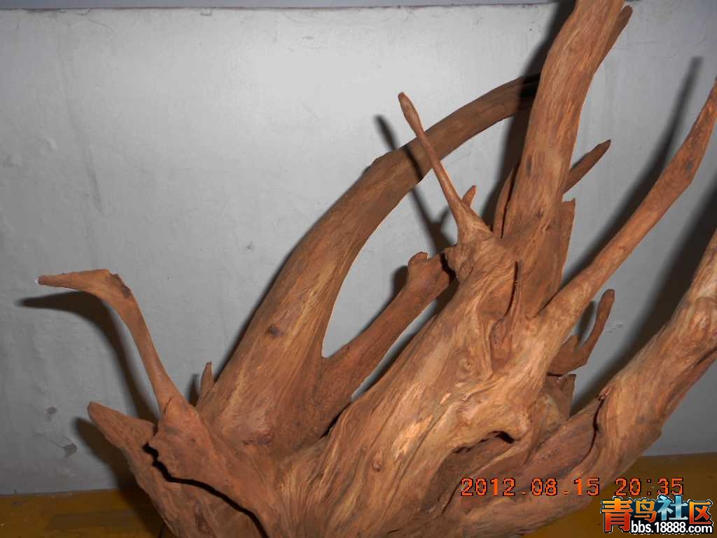 DSCN0251.jpg