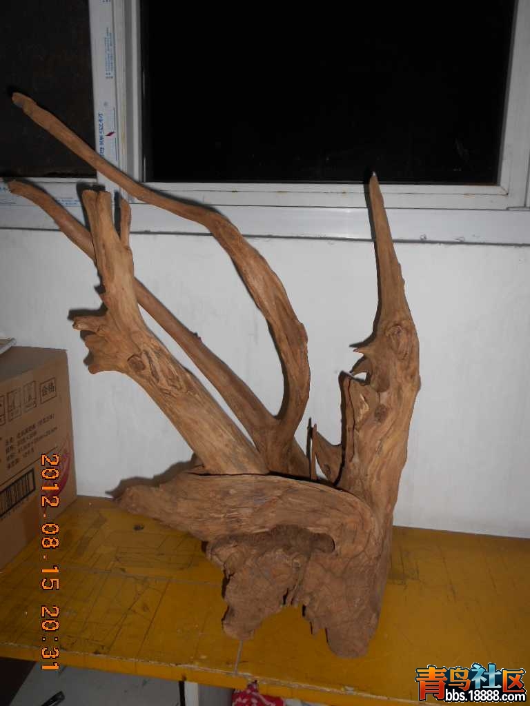 DSCN0241.jpg