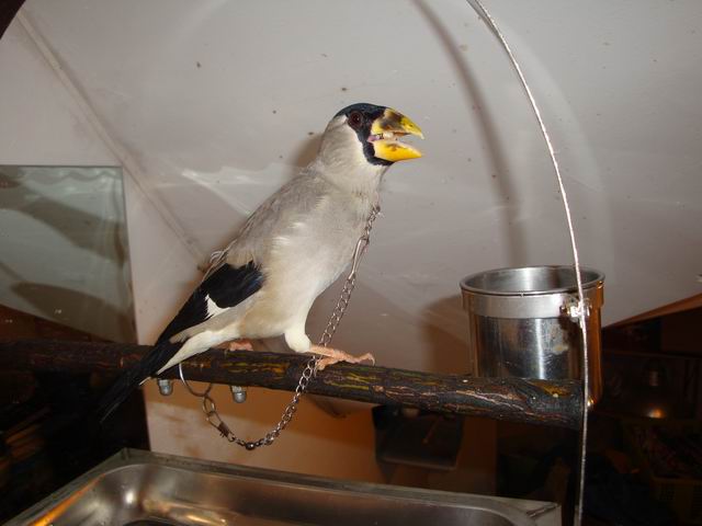 DSC03321.JPG