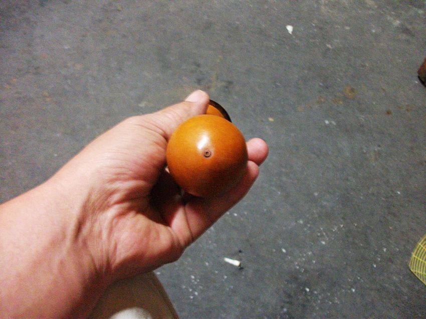 照片 072.jpg