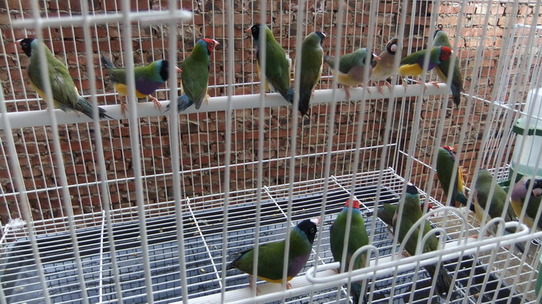 DSCF2807_缩小大小_缩小大小.JPG