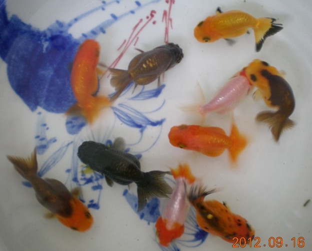 DSCN5153.JPG