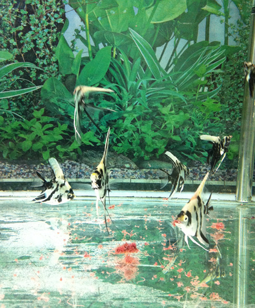 IMG_0158_副本.jpg