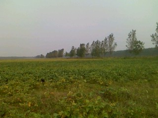 IMG0922154600.jpg