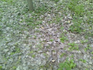 IMG0922160203.jpg