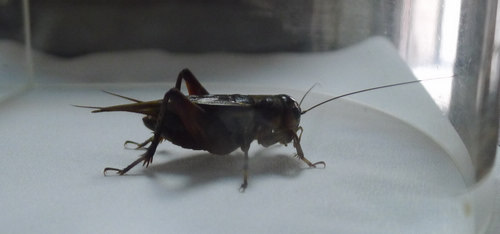 P1010551.JPG
