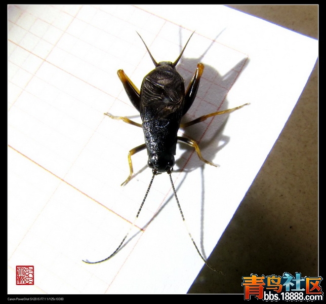 IMG_2276_调整大小.jpg