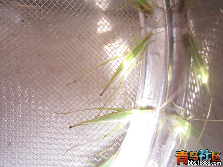 照片 525_副本.jpg