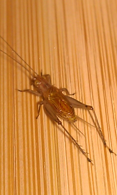 dcim@100media@imag0532_52.jpg