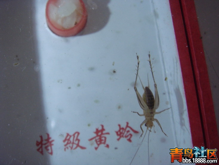 DSC05215_缩小大小.JPG