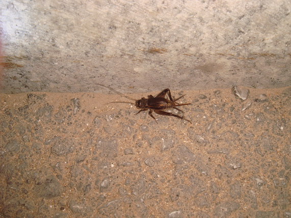 DSC05111_缩小大小.JPG