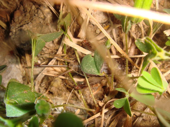 DSC05130_缩小大小.JPG