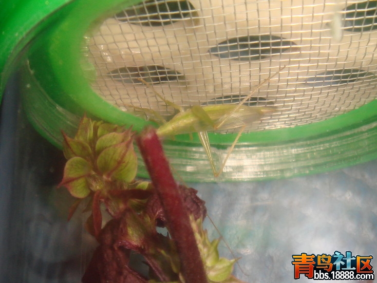 DSC05205_缩小大小.JPG
