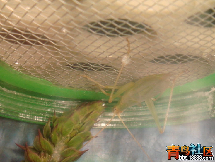 DSC05206_缩小大小.JPG