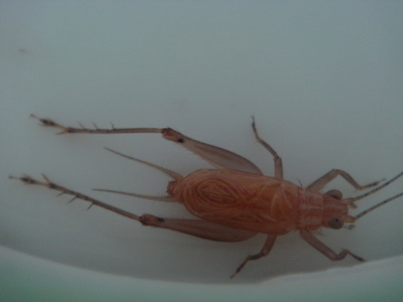 DSC05162_缩小大小.JPG