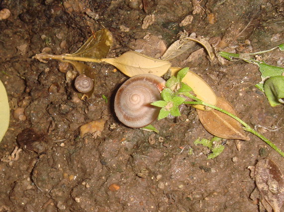 DSC05133_缩小大小.JPG