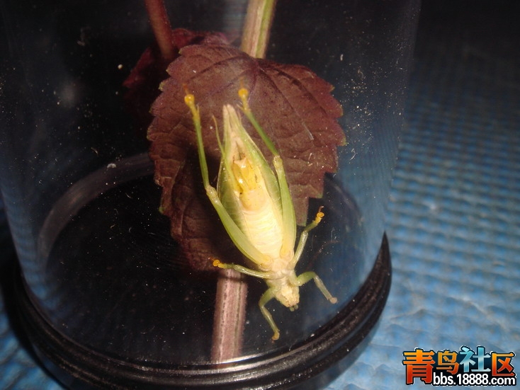 DSC05208_缩小大小.JPG