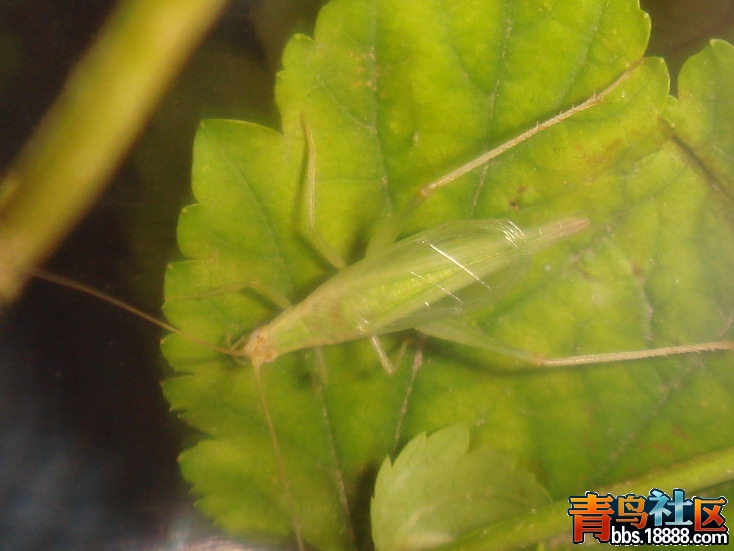 DSC05195_缩小大小.JPG