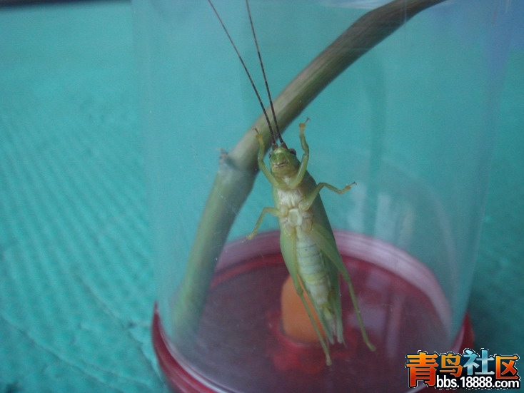 DSC05180_缩小大小.JPG