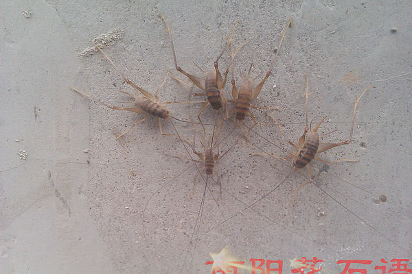 IMAG0137.jpg