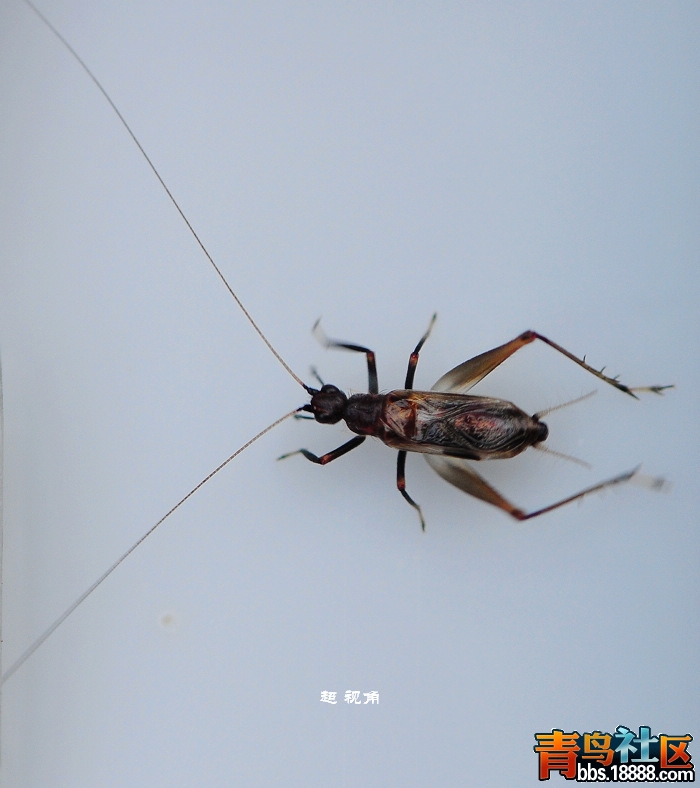 DSC_7214.jpg