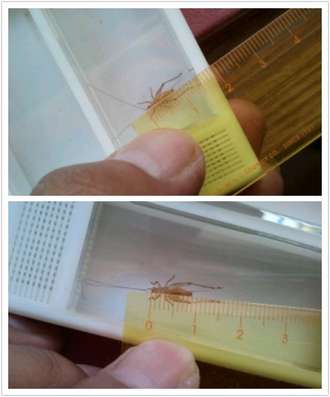 拼图2012_09_02_09_37_52.jpg