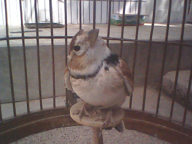 DSC_0000455.jpg