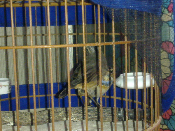201209232929_调整大小.jpg