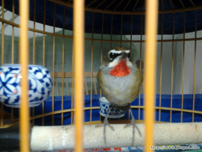2011-01-02 08.45.59.jpg
