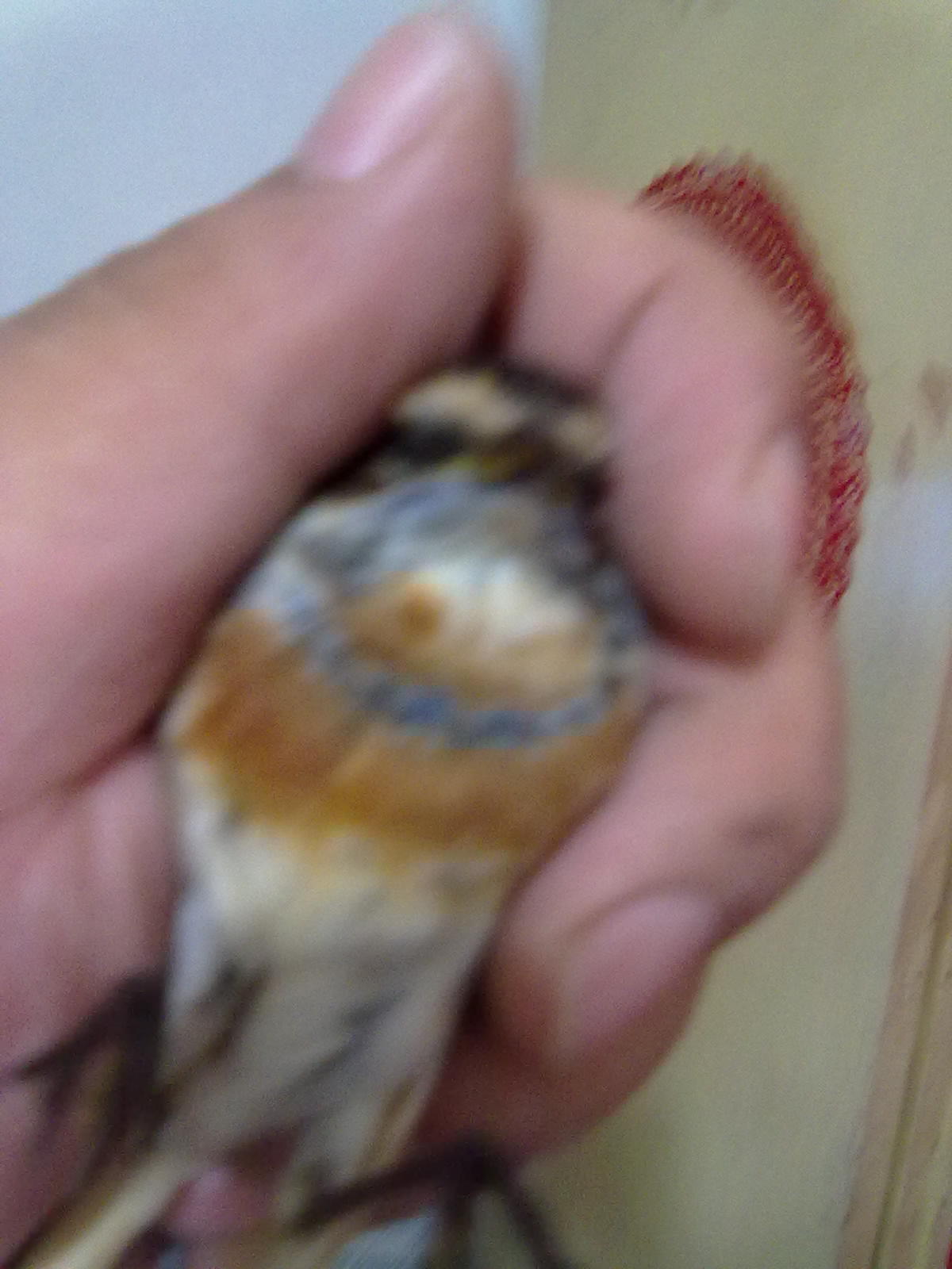 20120922105.jpg