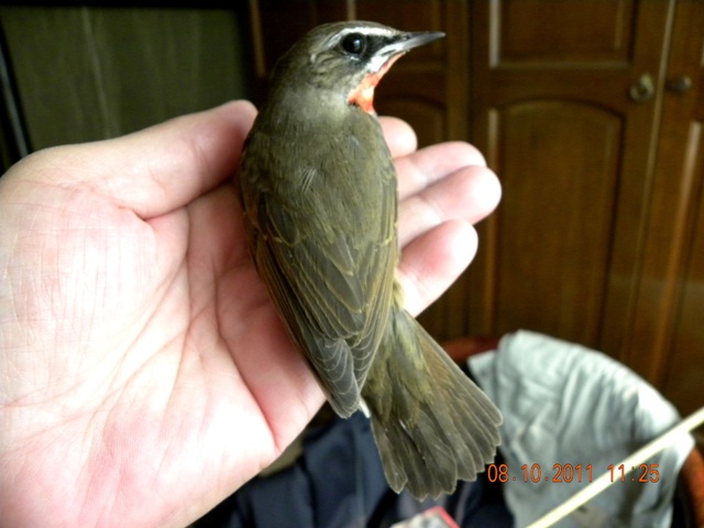 DSCN2335.JPG