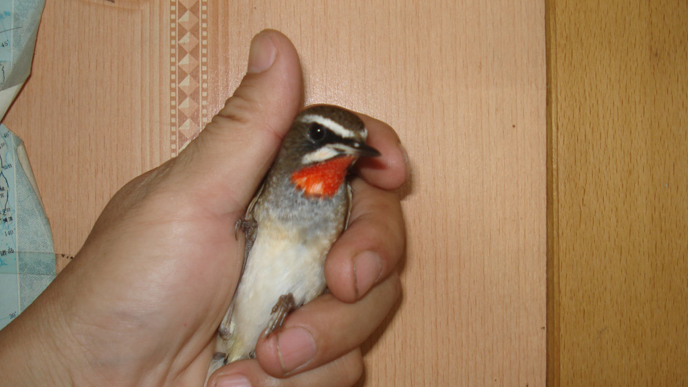 DSC03146.JPG