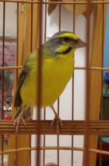 未命名03.jpg