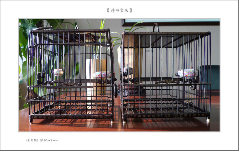 nEO_IMG_L1120742.jpg