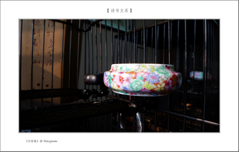 nEO_IMG_L1120764.jpg