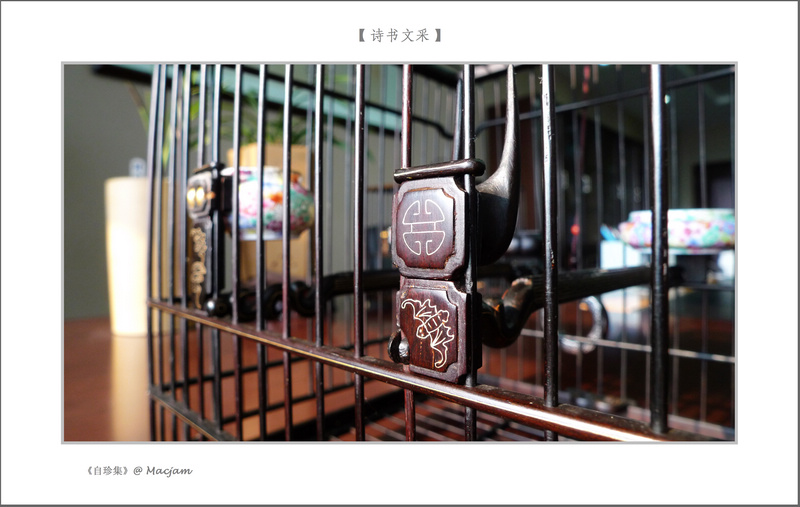 nEO_IMG_L1120748.jpg