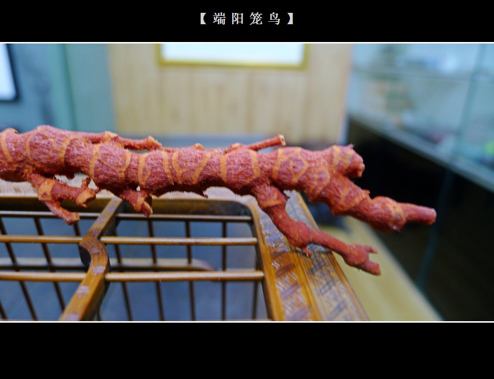 P1060558_conew1.jpg