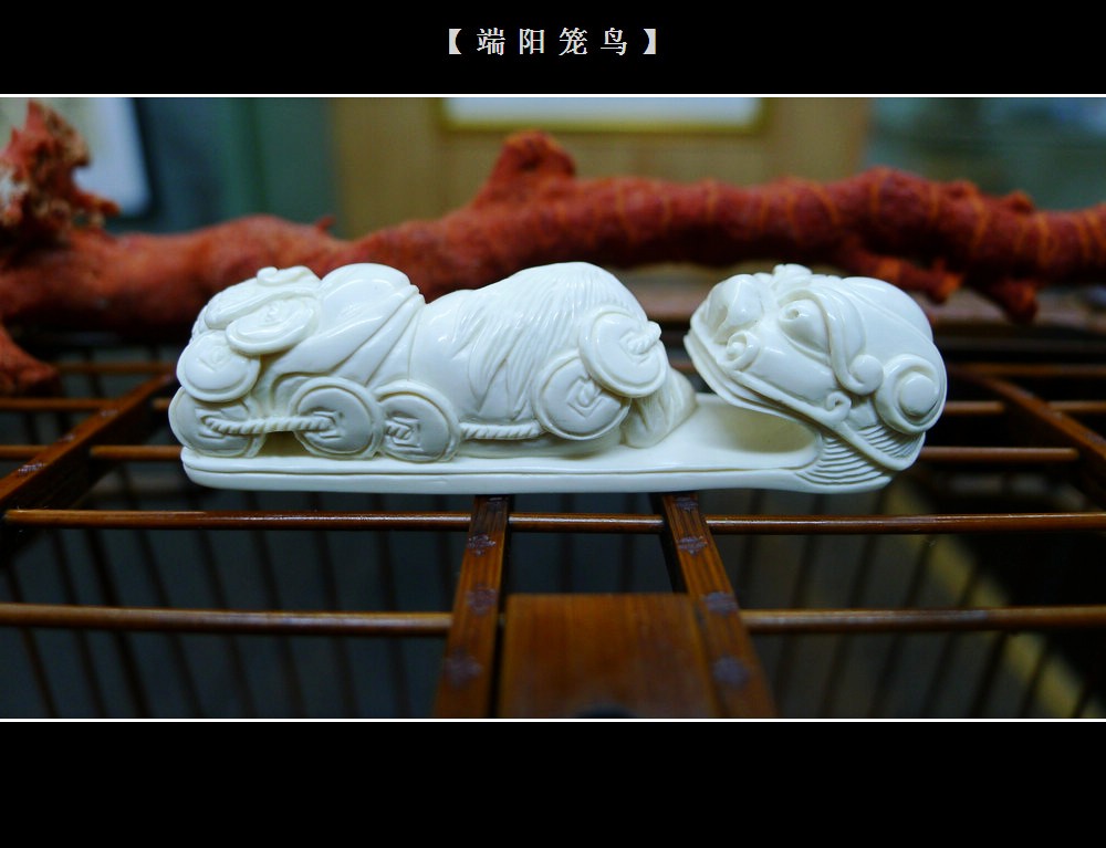 P1060555_conew1.jpg