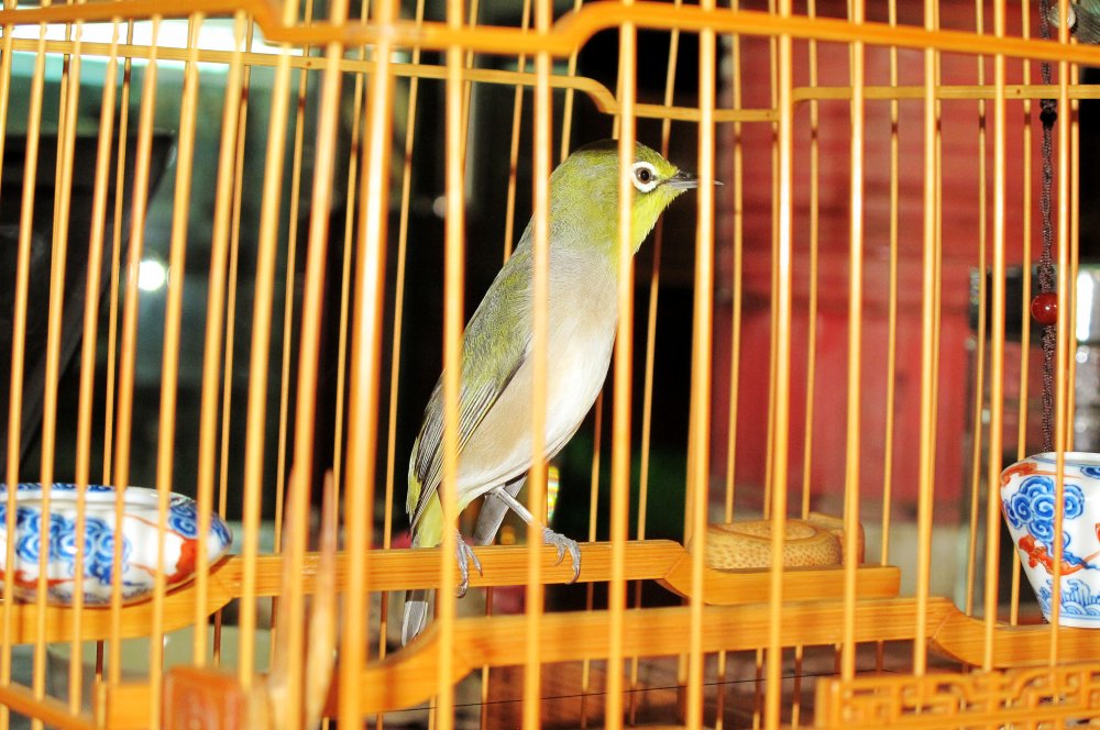 IMG_0848_conew1.jpg